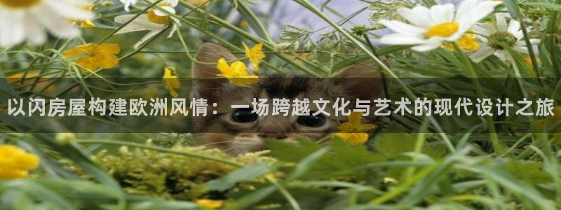 意昂体育3招商电话号码：以闪房屋构建欧洲风情：一场跨越文化与艺术的现代设计之旅
