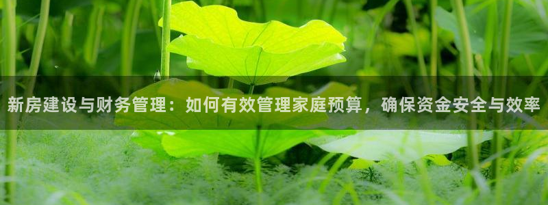 意昂体育3娱乐：新房建设与财务管理：如何有效管理家庭预算，确保资金安全与效率
