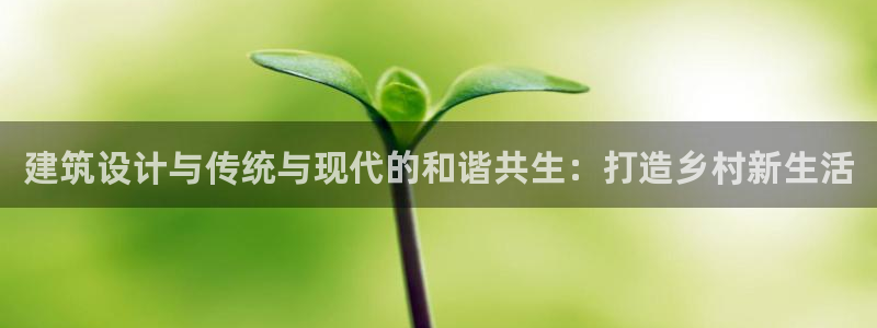 意昂3集团官网网址：建筑设计与传统与现代的和谐共生：打造乡村新生活