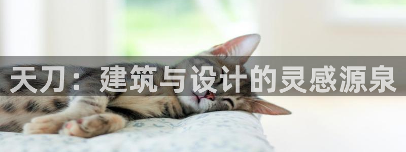 意昂体育3联系电话：天刀：建筑与设计的灵感源泉