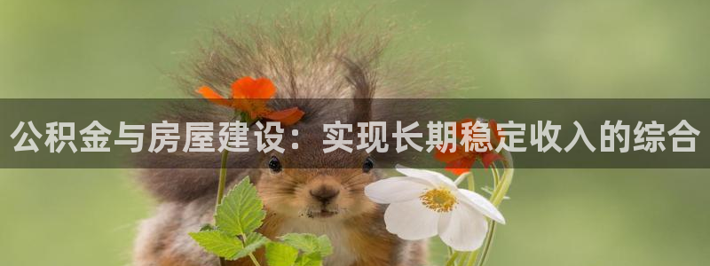 意昂体育3招商电话号码是多少：公积金与房屋建设：实现长期稳定收入的综合