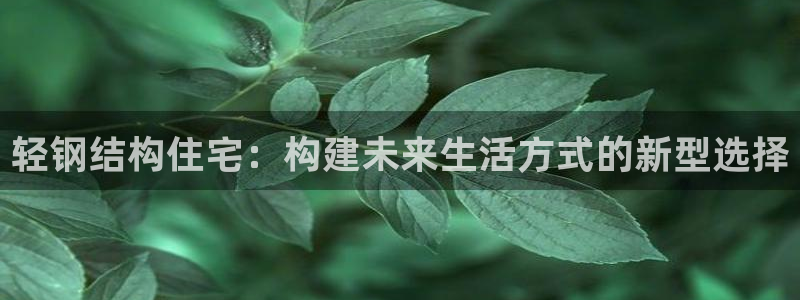 意昂平台体育：轻钢结构住宅：构建未来生活方式的新型选择