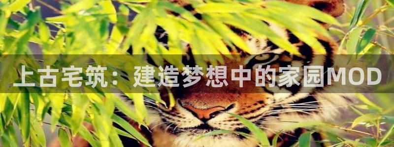 海南意昂体育3发展怎么样：上古宅筑：建造梦想中的家园MOD