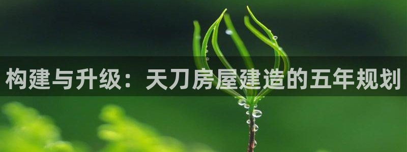 意昂体育3平台假的吗是真的吗：构建与升级：天刀房屋建造的五年规划