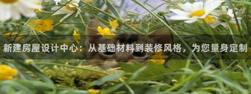 意昂体育3招商电话地址：新建房屋设计中心：从基础材料到装修风格，为您量身定制