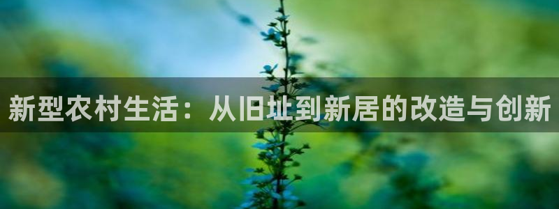 意昂3集团logo：新型农村生活：从旧址到新居的改造与创新