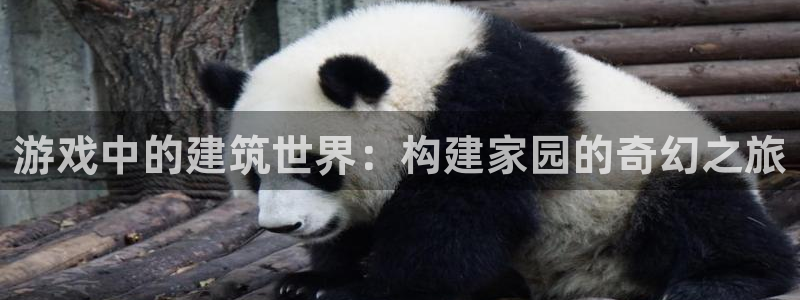 意昂3娱乐是那个系列的台子：游戏中的建筑世界：构建家园的奇幻之旅