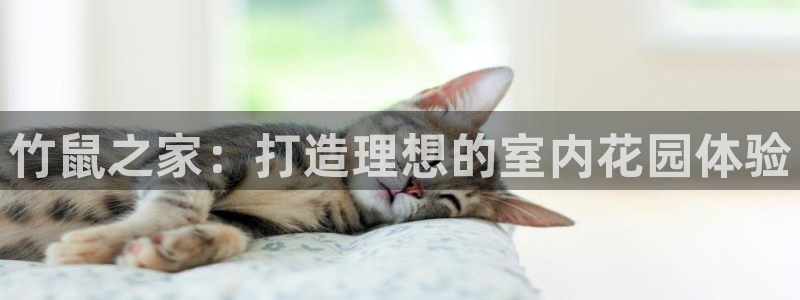 意昂体育3招商：竹鼠之家：打造理想的室内花园体验