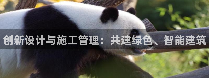 意昂体育3是干嘛的公司：创新设计与施工管理：共建绿色、智能建筑