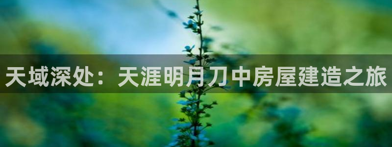 意昂体育3招商电话是多少号码：天域深处：天涯明月刀中房屋建造之旅