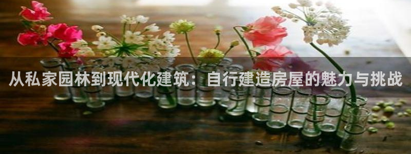 意昂体育3招商电话号码查询是多少：从私家园林到现代化建筑：自行建造房屋的魅力与挑战