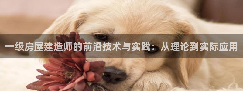 意昂体育3平台注册流程图：一级房屋建造师的前沿技术与实践：从理论到实际应用