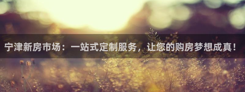 意昂平台体育：宁津新房市场：一站式定制服务，让您的购房梦想成真！