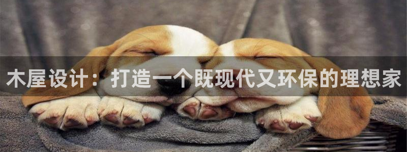 意昂3集团：木屋设计：打造一个既现代又环保的理想家