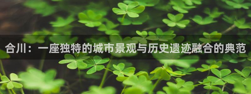 意昂体育3招商电话号码查询是多少：合川：一座独特的城市景观与历史遗迹融合的典范
