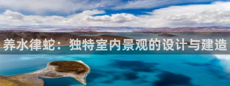 意昂体育3开户：养水律蛇：独特室内景观的设计与建造