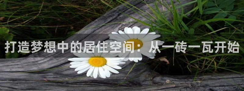 意昂体育3娱乐：打造梦想中的居住空间：从一砖一瓦开始