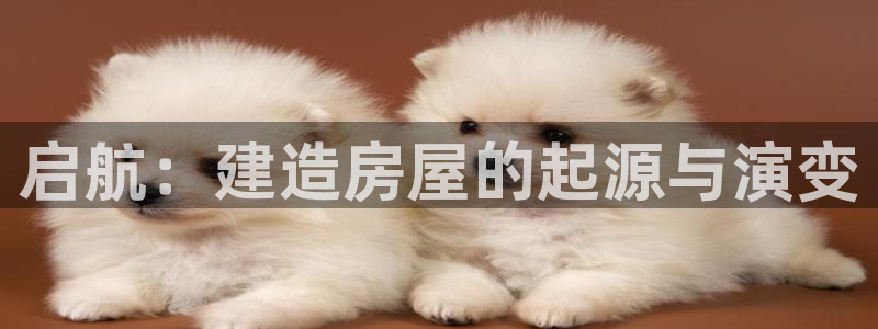 意昂3官方：启航：建造房屋的起源与演变