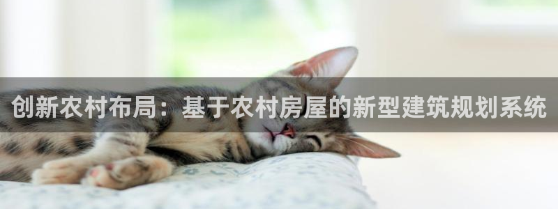 意昂体育3招商电话是多少号码：创新农村布局：基于农村房屋的新型建筑规划系统