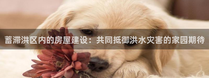 意昂体育3平台是正规平台吗知乎