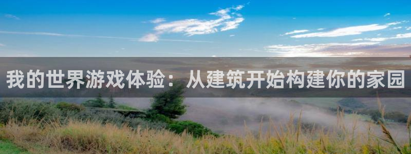 意昂体育3平台注册要钱吗是真的吗：我的世界游戏体验：从建筑开始构建你的家园