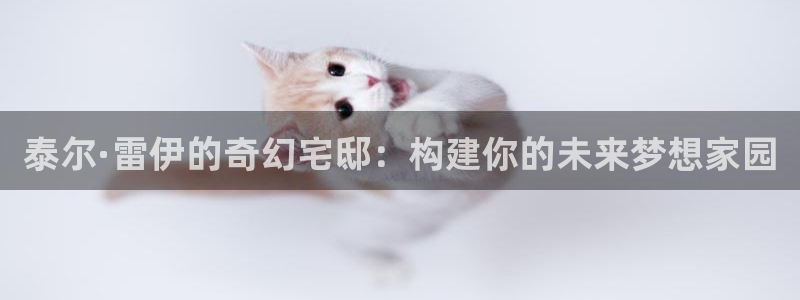 意昂体育3招商电话号码：泰尔·雷伊的奇幻宅邸：构建你的未来梦想家园