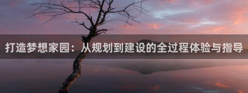 意昂平台体育：打造梦想家园：从规划到建设的全过程体验与指导