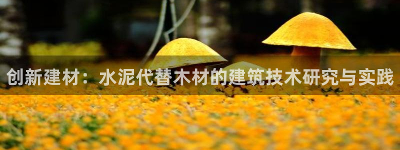意昂3神州：创新建材：水泥代替木材的建筑技术研究与实践