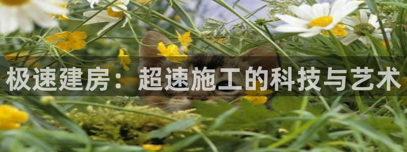 意昂体育3软件：极速建房：超速施工的科技与艺术