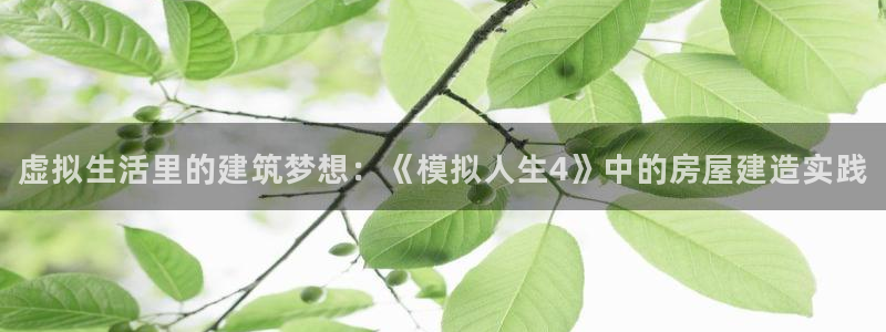 意昂体育3平台是正规平台吗知乎：虚拟生活里的建筑梦想：《模拟人生4》中的房屋建造实践