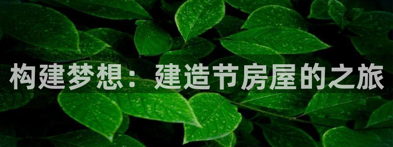意昂体育3平台假的吗是真的吗吗：构建梦想：建造节房屋的之旅