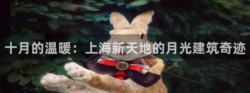 意昂体育3：十月的温暖：上海新天地的月光建筑奇迹