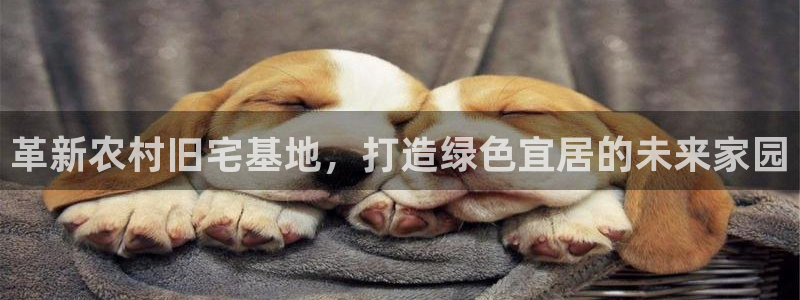 意昂3娱乐首页官网下载：革新农村旧宅基地，打造绿色宜居的未来家园
