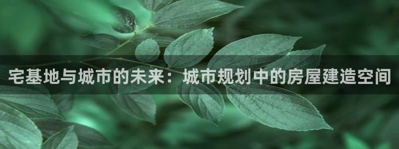 意昂体育3招商电话地址是多少：宅基地与城市的未来：城市规划中的房屋建造空间