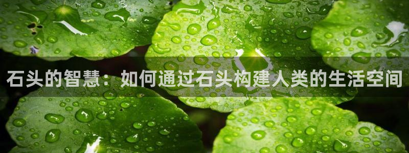 意昂体育3娱乐：石头的智慧：如何通过石头构建人类的生活空间