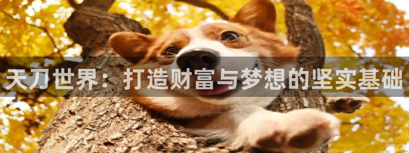意昂体育3招商电话是多少：天刀世界：打造财富与梦想的坚实基础