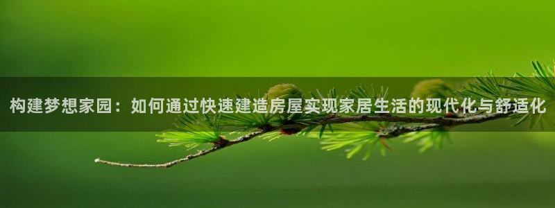 意昂体育3平台注册流程视频：构建梦想家园：如何通过快速建造房屋实现家居生活的现代化与舒适化