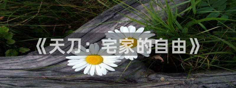 意昂体育3招商：《天刀：宅家的自由》