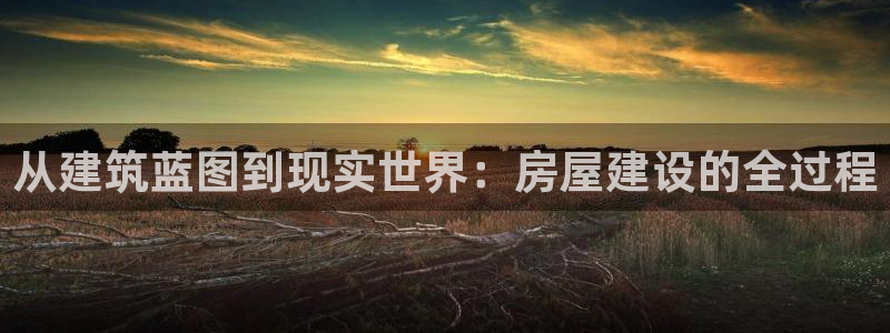 意昂体育3平台假的吗是真的吗：从建筑蓝图到现实世界：房屋建设的全过程