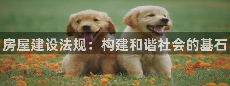 意昂体育3招商电话号码查询是多少：房屋建设法规：构建和谐社会的基石