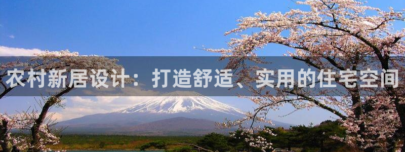 意昂3科技：农村新居设计：打造舒适、实用的住宅空间