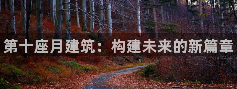 意昂3娱乐下载：第十座月建筑：构建未来的新篇章
