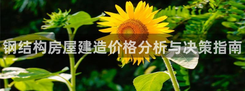 意昂3代理：钢结构房屋建造价格分析与决策指南