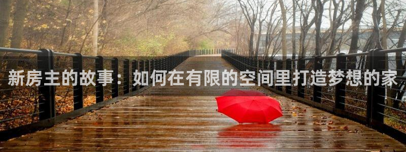意昂3官方：新房主的故事：如何在有限的空间里打造梦想的家
