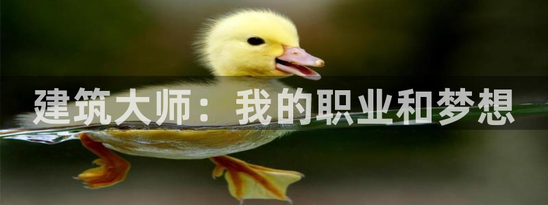 意昂体育3平台假的吗是真的吗吗：建筑大师：我的职业和梦想