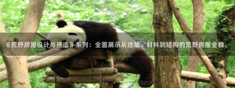 意昂3娱乐下载：《荒野房屋设计与建造》系列：全面展示从选址、材料到结构的荒野房屋全貌。