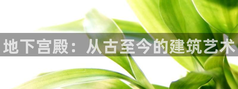 意昂体育3平台假的吗是真的吗吗：地下宫殿：从古至今的建筑艺术