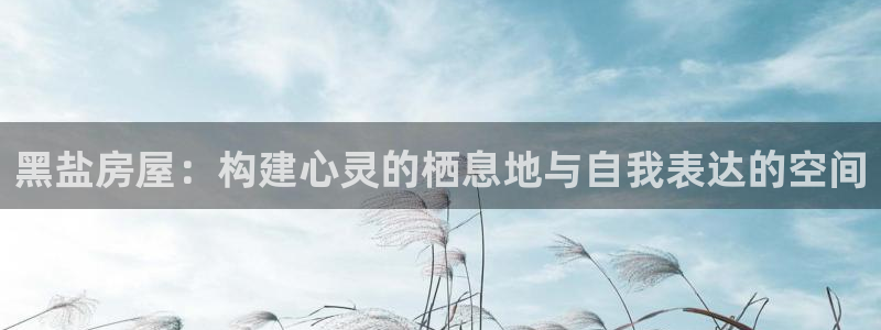 意昂体育3招商电话号码是多少：黑盐房屋：构建心灵的栖息地与自我表达的空间