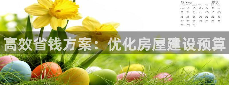 注册意昂3：高效省钱方案：优化房屋建设预算