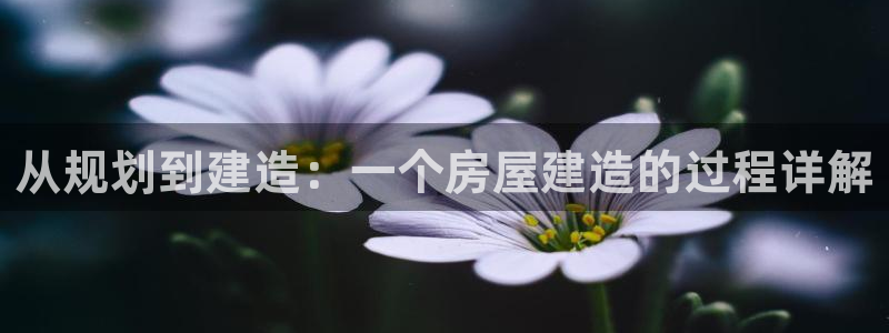 意昂平台体育
